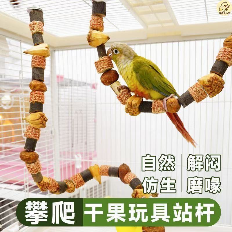 鹦鹉啃咬玩具鸟爬梯秋千攀爬站杆图片