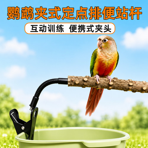 鹦鹉定点排便站架训练小太阳专用
