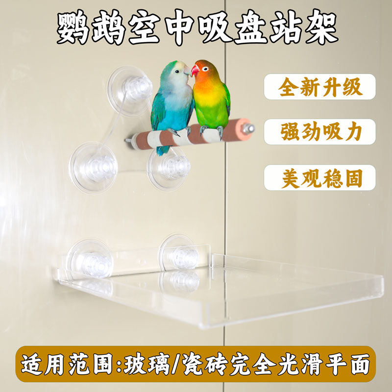 鹦鹉空中站架空中托盘定点排便