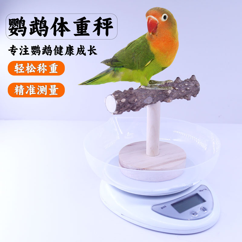 鹦鹉鸟类体重秤鹦鹉奶粉秤鸟粮秤