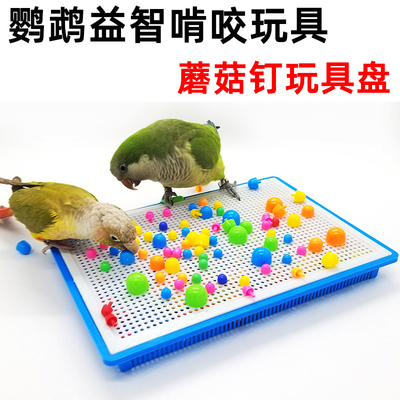 鹦鹉蘑菇钉玩具盘啃咬解闷磨牙