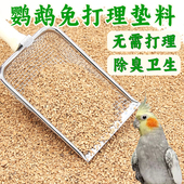 天然核桃砂垫料可水洗无尘除臭发酵床芦丁鸡鹦鹉仓鼠金丝熊兔子用