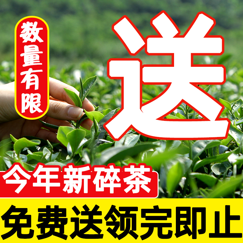 免费送【嫩芽碎尖】碎茶雨前茶碎片