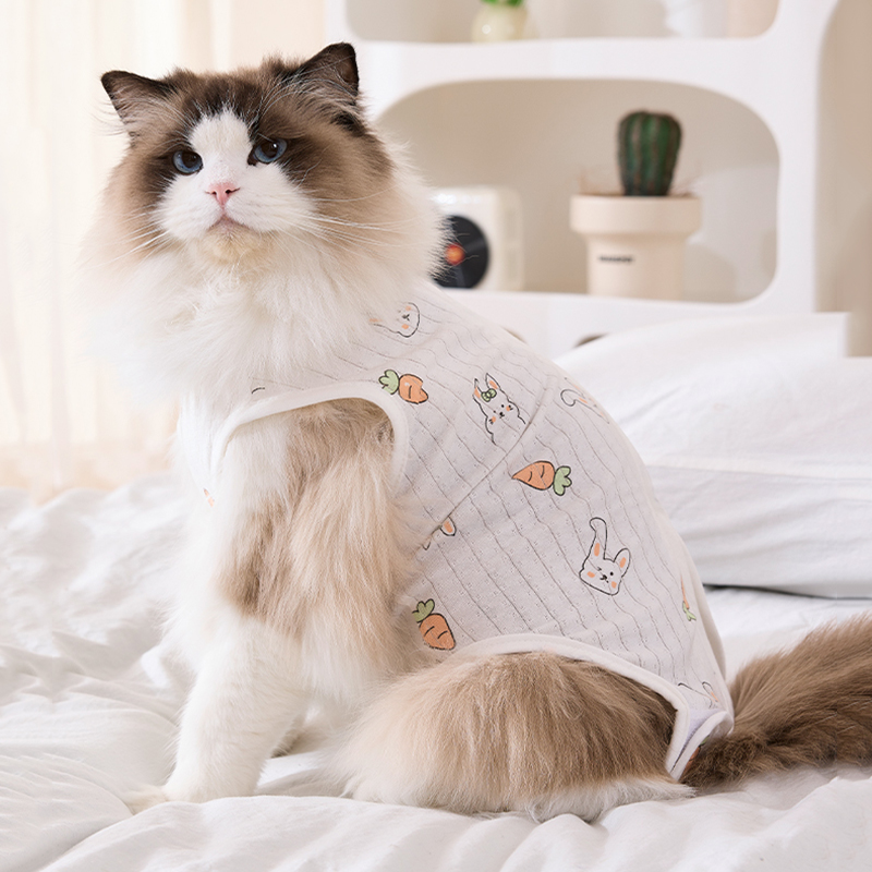 猫咪绝育服术后防舔透气猫衣服