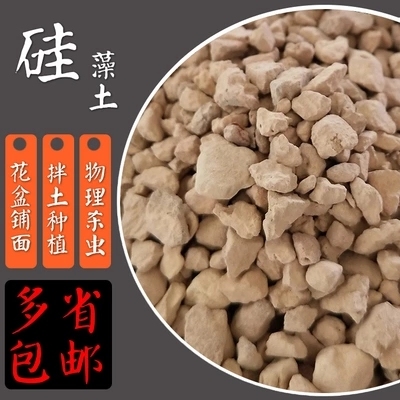 颗粒多肉赤玉土火山石