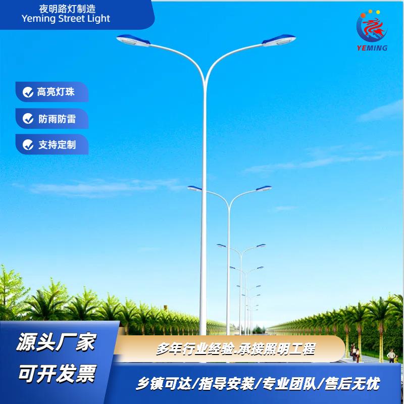 厂家供应道路灯杆道路照灯杆太阳能LED路灯杆高速户外市电路灯