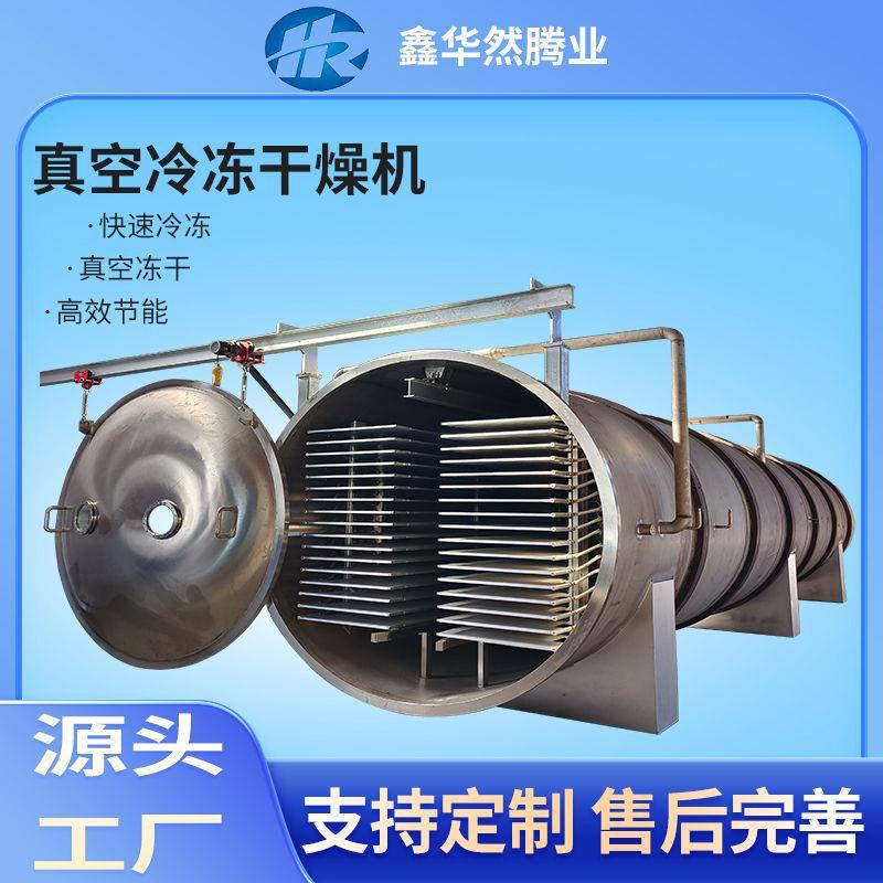 真空冻干机水果真空小型无花果冻干机设备草莓真空冻干