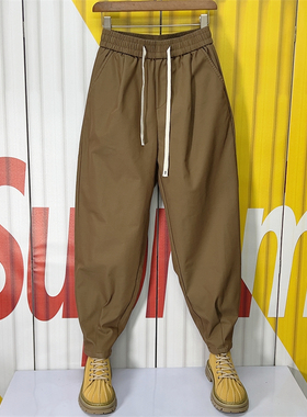 2024春季新款哈伦大档休闲裤潮牌褶皱设计纯色百搭宽松束脚九分裤