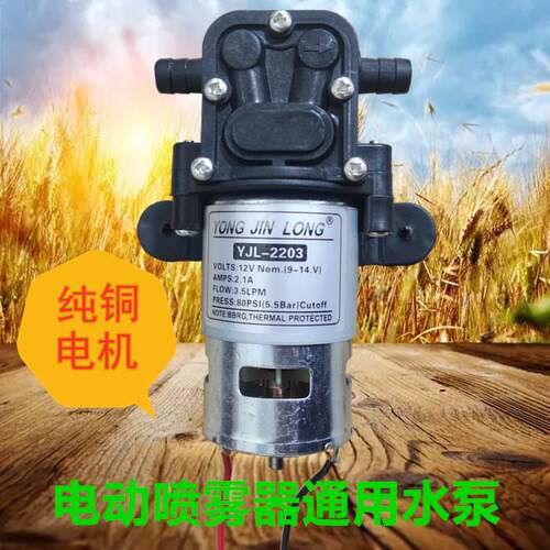 农用电动喷雾器高压水泵大功率12v高压智能型电动喷雾器电机水泵
