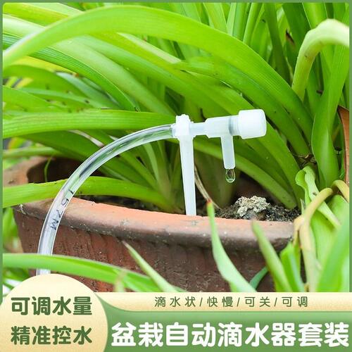 浇花自动浇水袋家用懒人滴灌输液袋出差盆栽绿植防枯萎滴水器