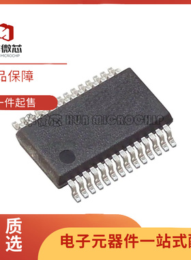 ADS804E 800E 805E 807 1241 7842EB 7870EA 1263IPWR IPW SSOP28