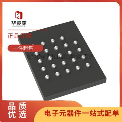 华微芯储存器IC芯片全新原装