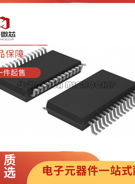 LTC1668CG LTC1668IG LTC1668 贴片SSOP28 数模转换芯片 原装正品