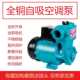水空调自吸泵家用220v单相水井GP125W小型太阳能增压泵离心抽水泵