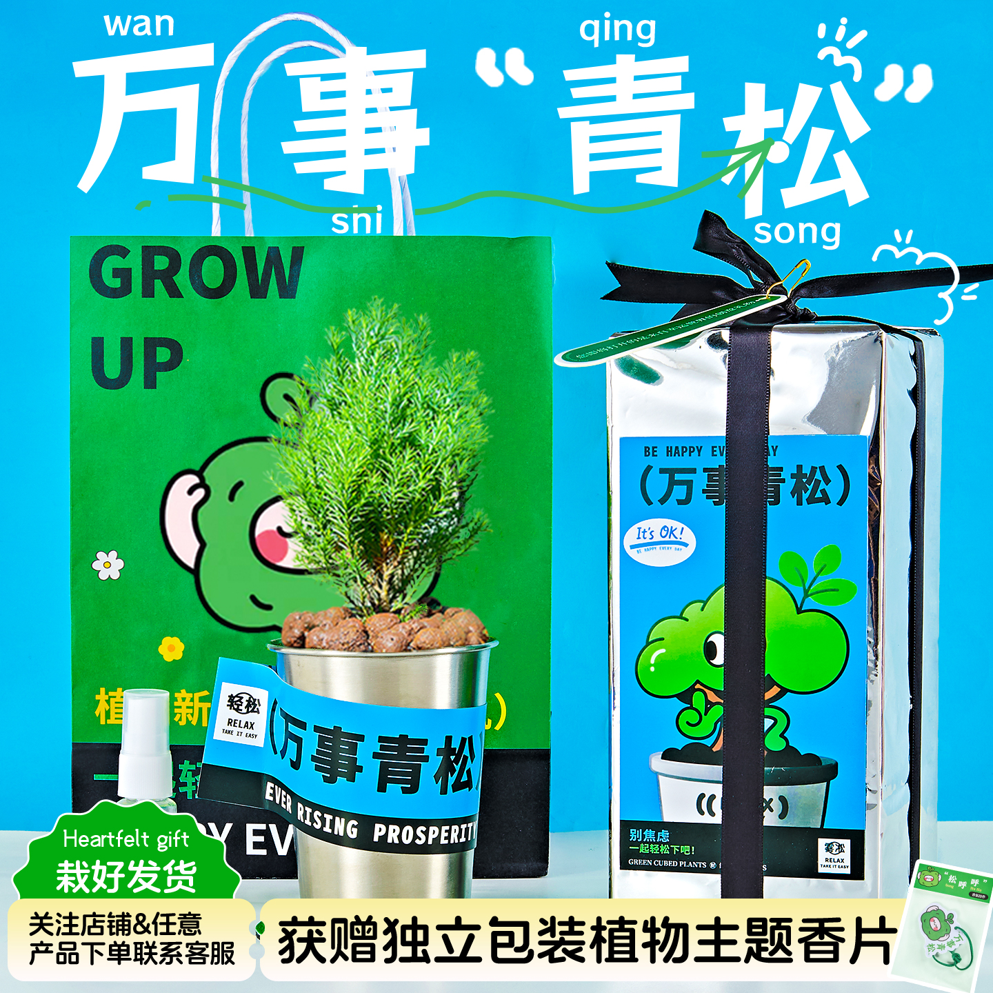 绿次方Plants办公室桌面盆栽雾凇绿室内植物摆件放青松生日礼物