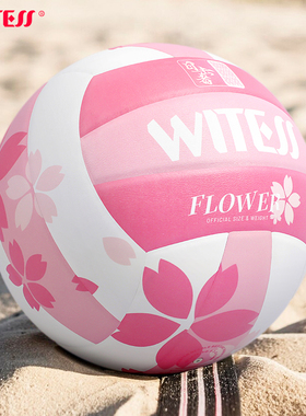 WITESS 正品胶粘5号软皮中考学生室内外训练比赛沙滩男女充气排球