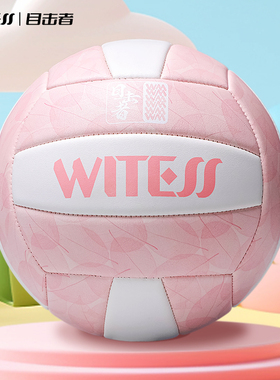 WITESS目击者机缝5号软皮中考学生室外训练比赛沙滩男女充气排球