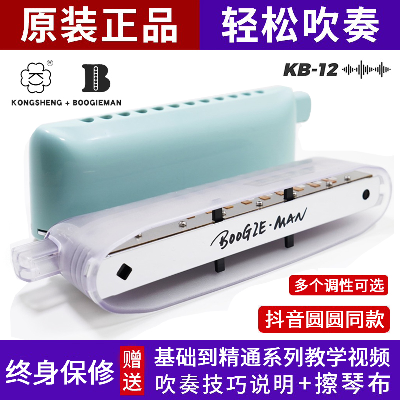 KB1212孔半音阶抖音圆圆同款