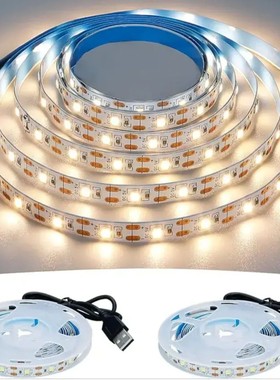 DC 5V USB LED Strips 2835 White Warm White LED Strip Light T