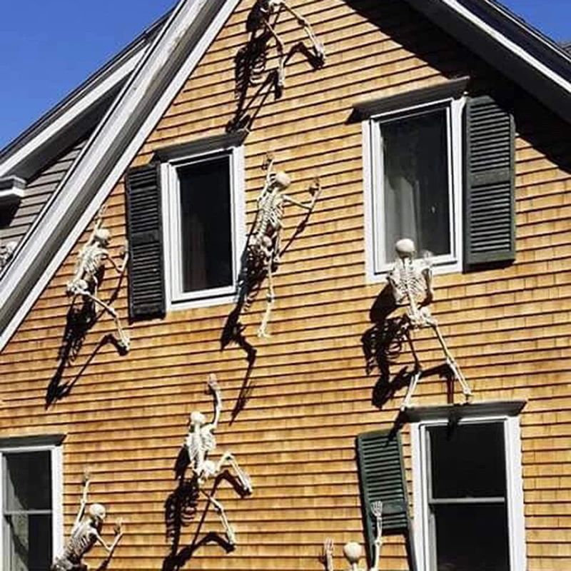 Halloween Movable Skeleton Fake Human Skull Bones Halloween
