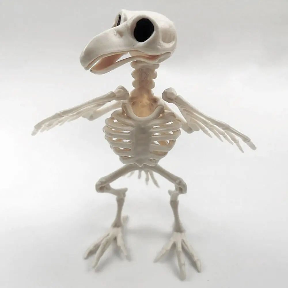 Crazy Bone Skeleton Raven Plastic Animal Skeleton Bones Horr
