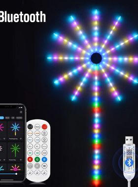 Christmas Fireworks Light RGBIC LED String Light Festoon LED