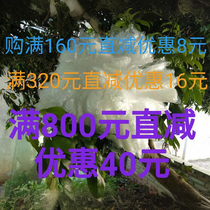 包邮满减优惠袋芭乐套袋番石榴套袋水果专用袋网有耳防虫包装套袋