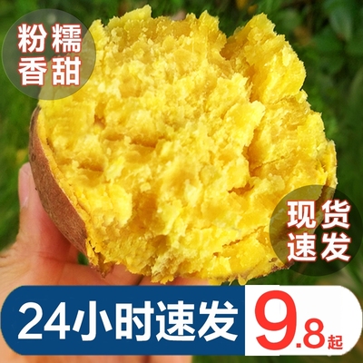 5斤农家自种黄肉黄心糯甜山芋