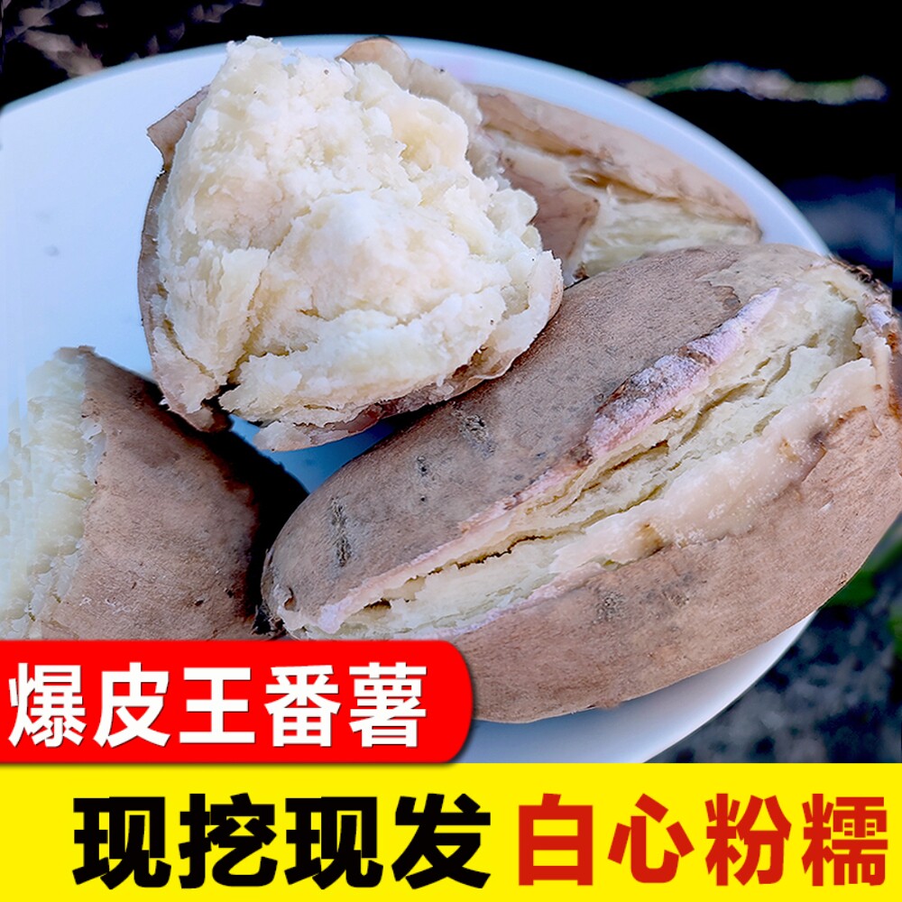 高州爆皮王番薯白心板栗干面粉糯甜红番农家自种新鲜现挖地瓜 5斤