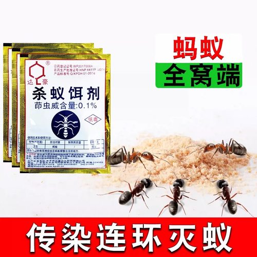 灭杀除蚂蚁药家用盆土室内非无毒全窝端饵剂黑白蚂蚁专用的达豪