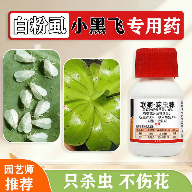 白粉虱专用杀虫剂花卉植物通用药