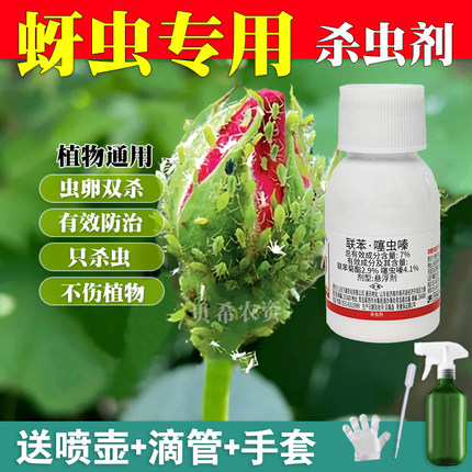 蚜虫专用杀虫剂月季病虫害常用药玫瑰多肉花卉植物除虫杀腻虫蓟马