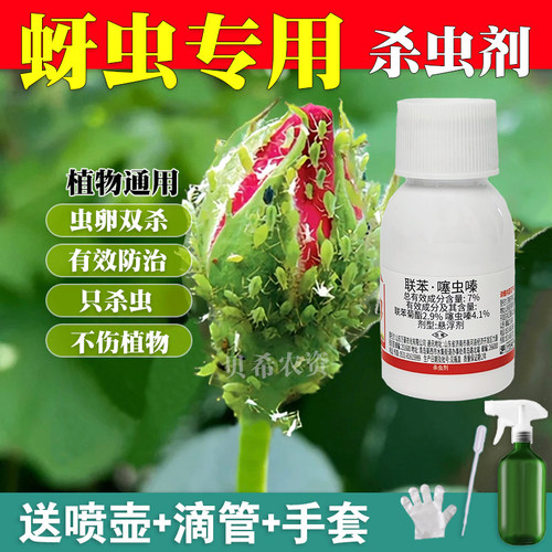 蚜虫专用杀虫剂月季病虫害常用药玫瑰多肉花卉植物除虫杀腻虫蓟马