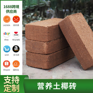 栽培营养土椰糠砖 小块椰砖500克种花多肉种植土脱盐基质爬宠垫材