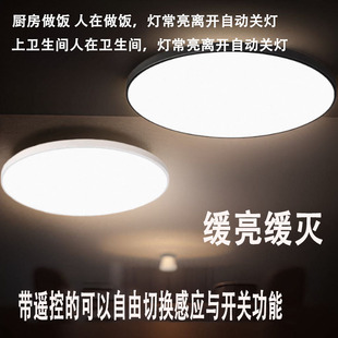 人体存在雷达毫米感应智能吸顶灯人在灯不灭厕所厨卫阳台楼梯道