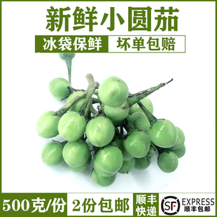 新鲜蔬菜 小圆茄新鲜圆茄迷你茄子绿咖喱青咖喱配料苦果 500g