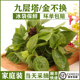 新鲜九层塔新鲜金不换九层塔食用香料罗勒叶三杯鸡越南粉辅料食用