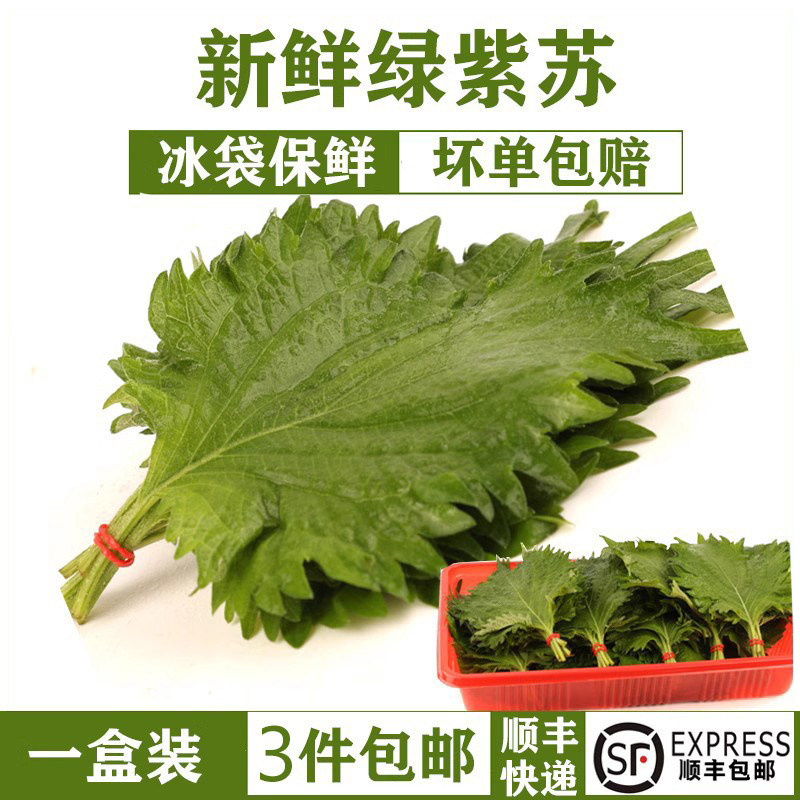 新鲜紫苏叶西餐香料寿司食用图片