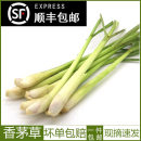 顺丰 泰国冬阴功汤料新鲜柠檬草香茅烤鱼调料香料500g 新鲜香茅草