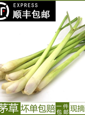新鲜香茅草 泰国冬阴功汤料新鲜柠檬草香茅烤鱼调料香料500g