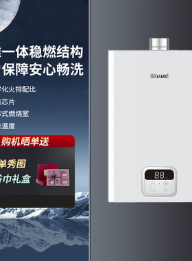 Rinnai/林内鲸吨吨RUS-20GT11/24GT11 燃气热水器20/24升大水量
