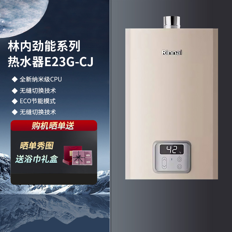 林内室内强排智能恒温进口芯片16