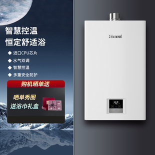 Rinnai/林内RUS-13GT11/16GT11燃气热水器家用恒温室内强排式16升