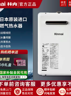 Rinnai/林内 rux-a1616w//A2016W-E/2406W燃气热水器室户外机进口