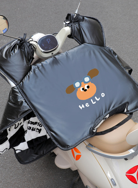 适用极核ae5iproAE8ae2AE4iae4 ez3i mo1AE6专用电动车挡风被冬季