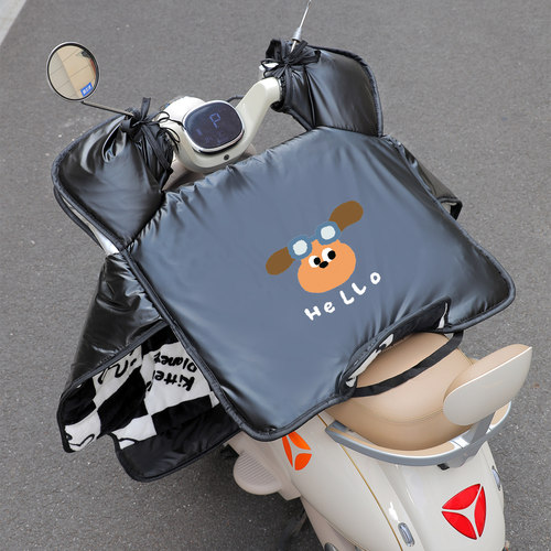 适用极核ae5iproAE8ae2AE4iae4 ez3i mo1AE6专用电动车挡风被冬季