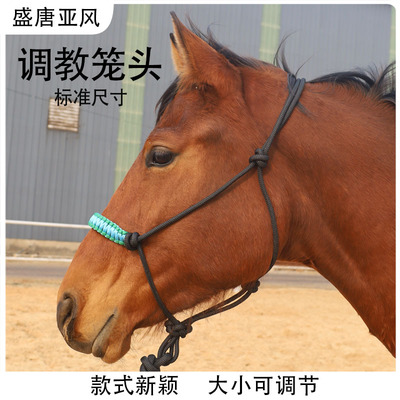 调教笼头可调节耐用大小矮马牵引笼头马具耐磨遛马马龙头