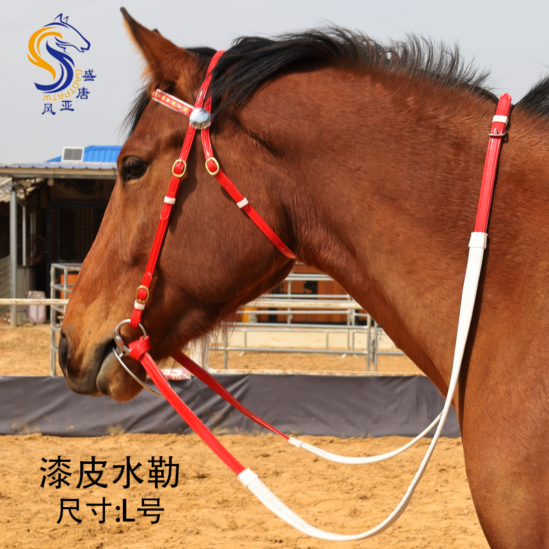 漆皮水勒（脑门带花） 口衔铁马嚼子防磨防滑可调节马术装备