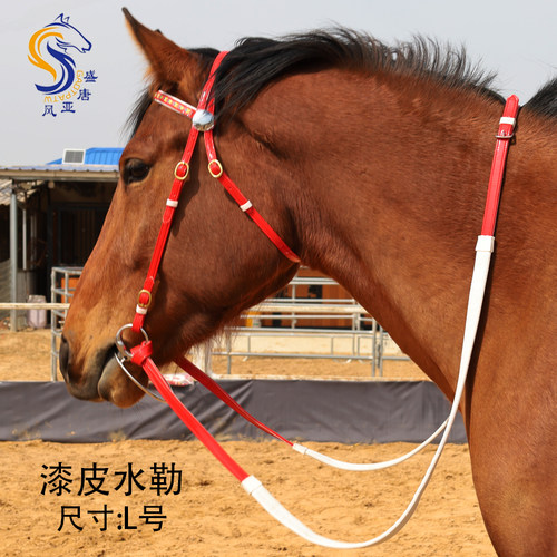 漆皮水勒（脑门带花） 口衔铁马嚼子防磨防滑可调节马术装备