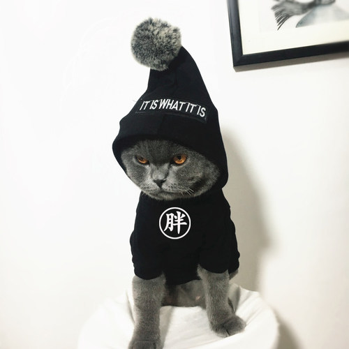 小猫衣服冬多少钱 小猫衣服冬价格 小麦优选